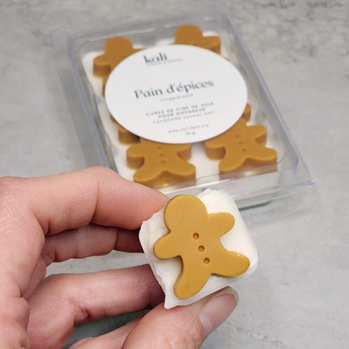 Cubes de cire de soja pour diffuseur - Image 2